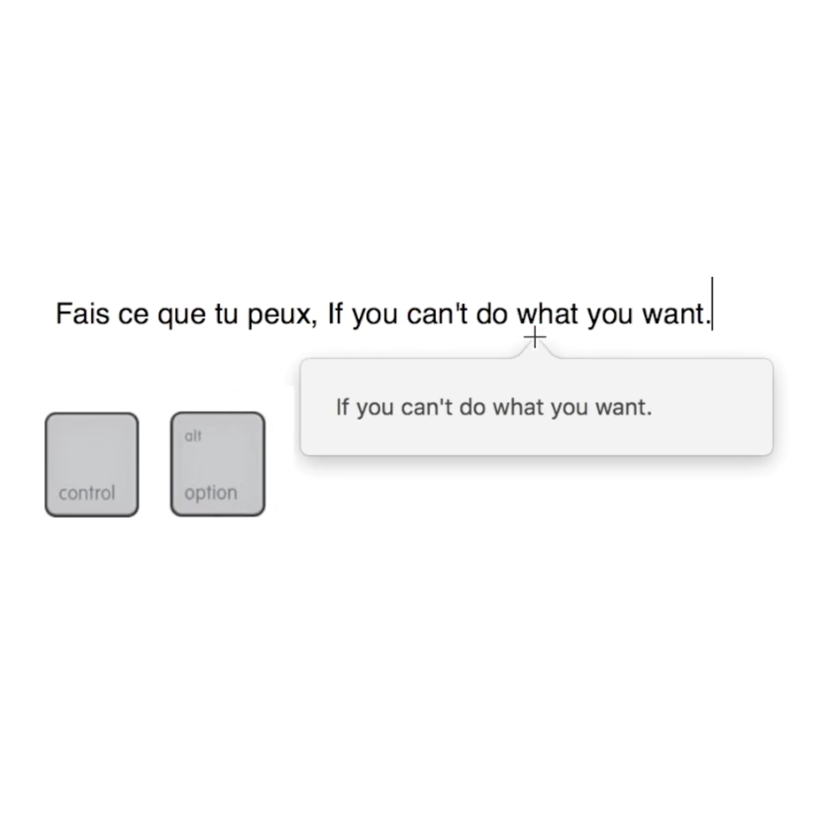 MacLinguist gallery image