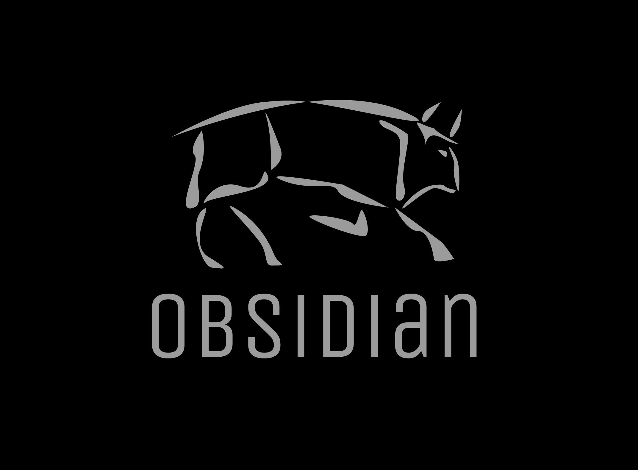 Obsidian media 1