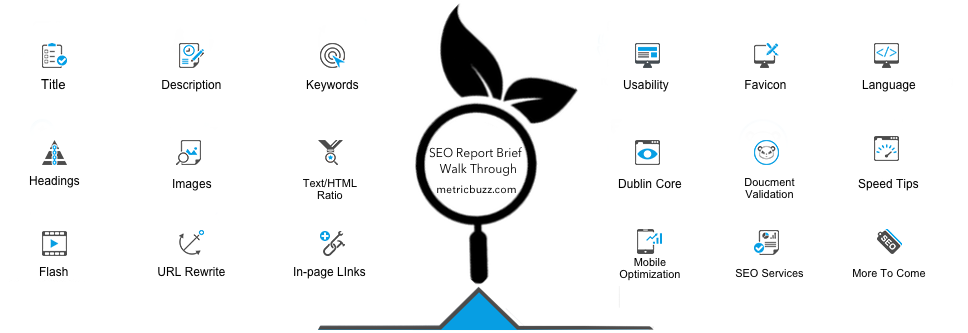 Metric Buzz gallery image