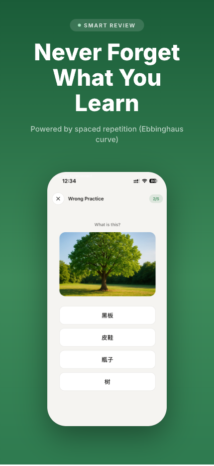 Bamboo Chinese gallery image