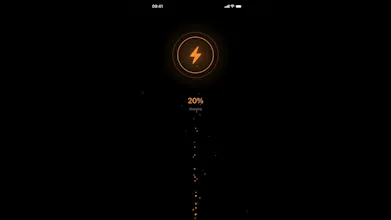 Your charger is real wattage, iOS App gallery image