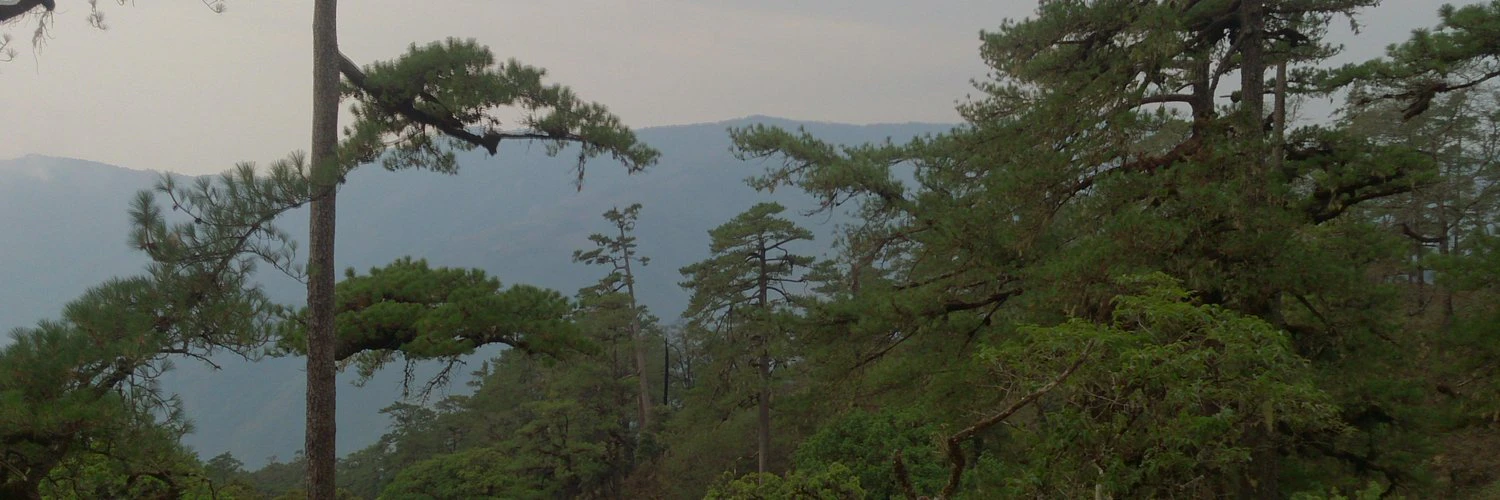 Set Kyar Wa Lar cover