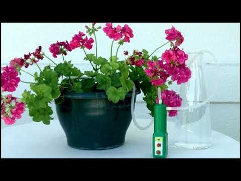 Rigavit Automatic Plant Watering gallery image