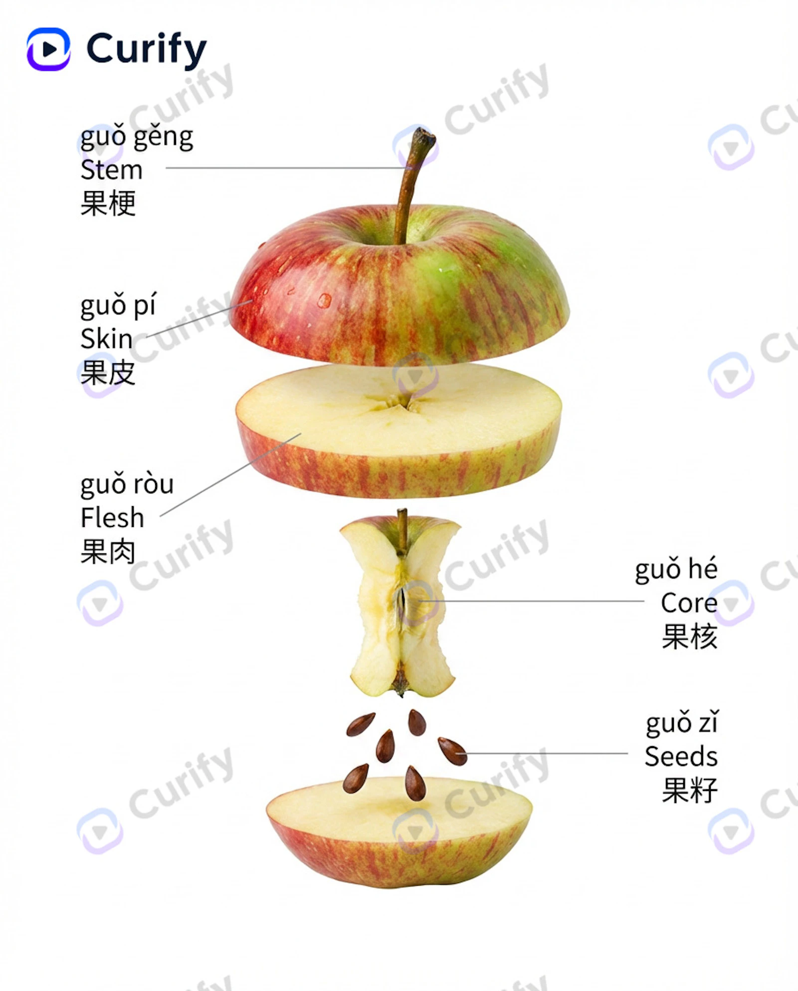 Curify Studio screenshot 2