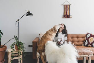 Coworksurf gallery image