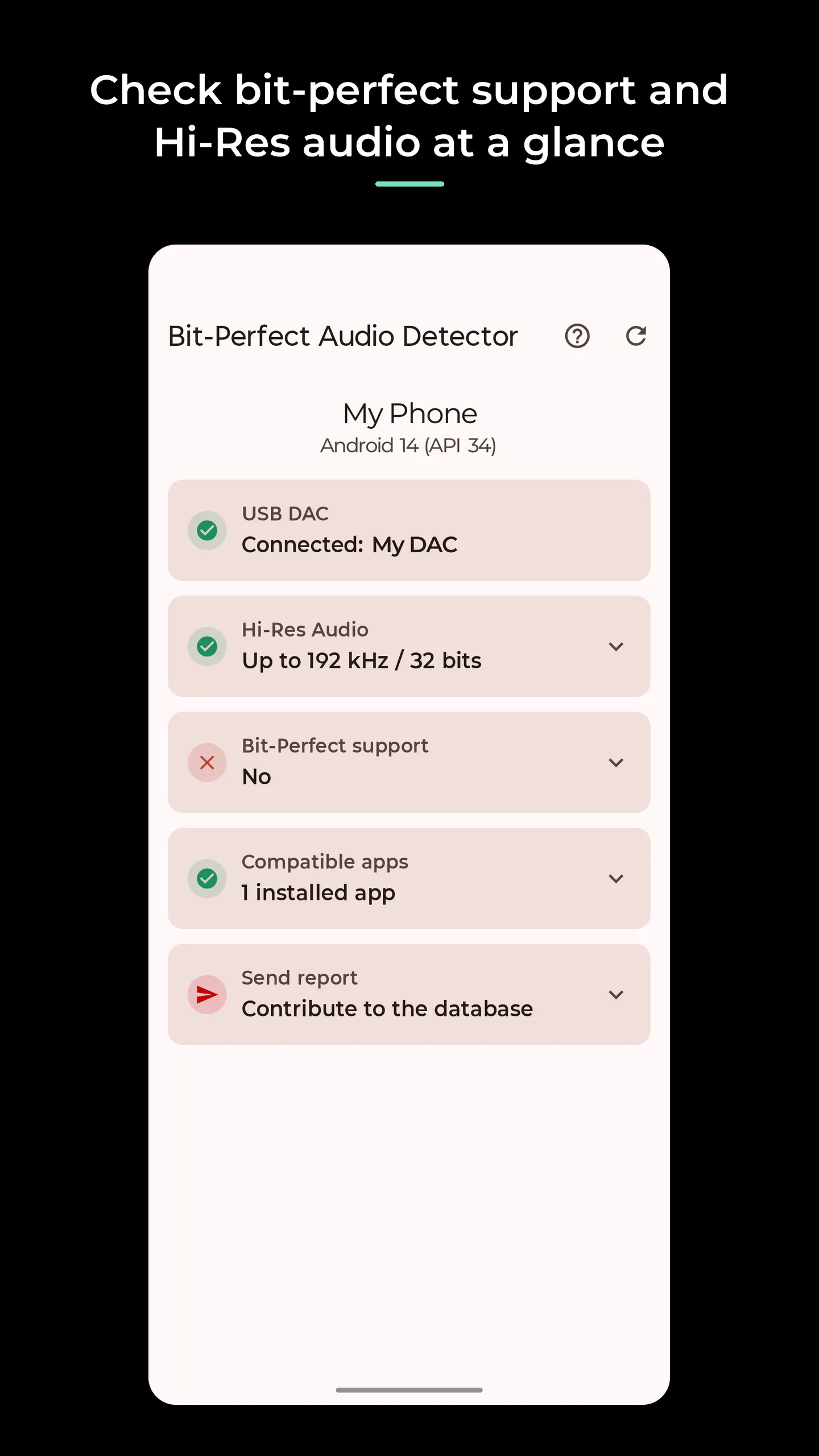 Bit-Perfect Audio Detector gallery image