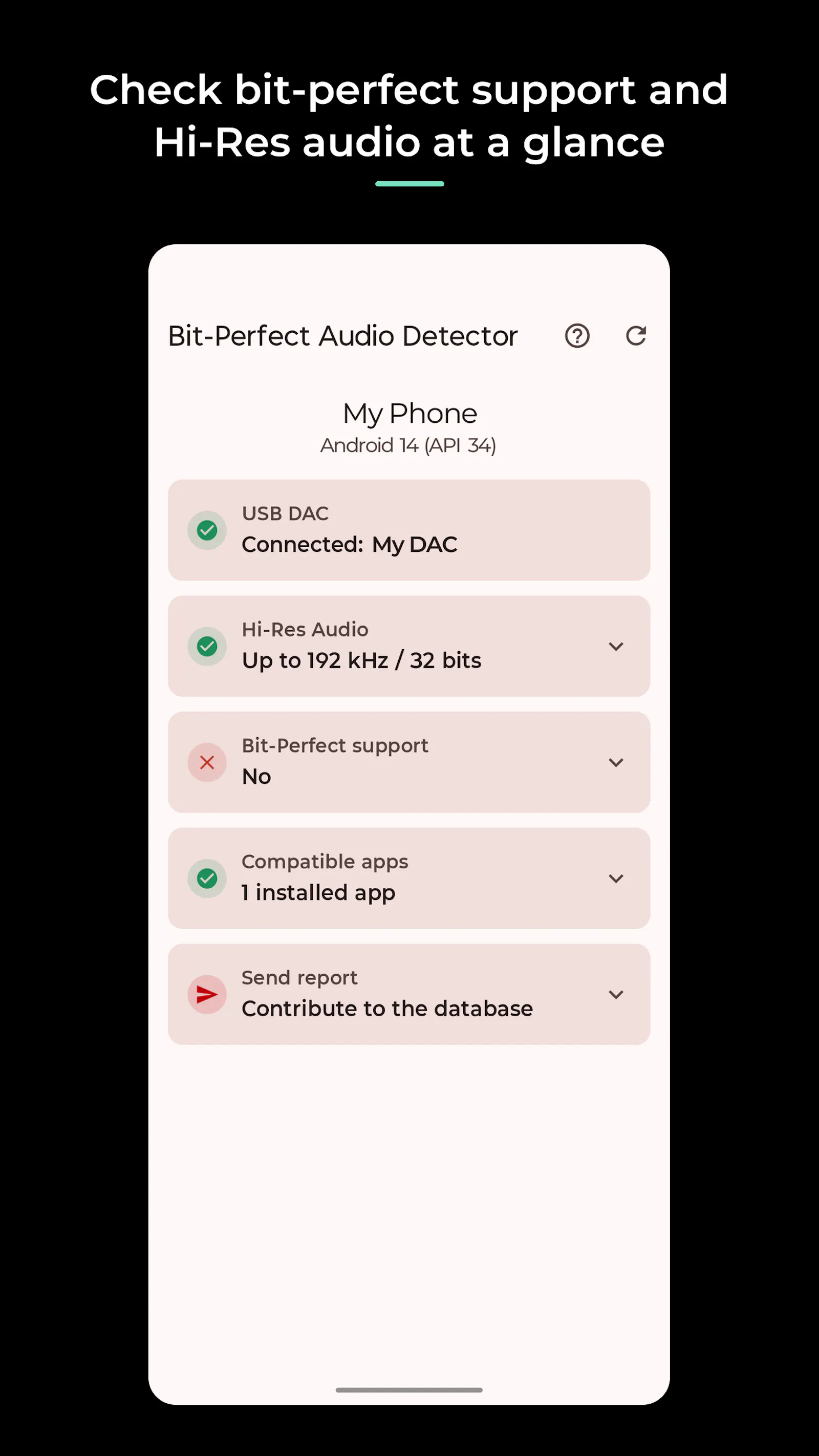 Bit-Perfect Audio Detector screenshot 2