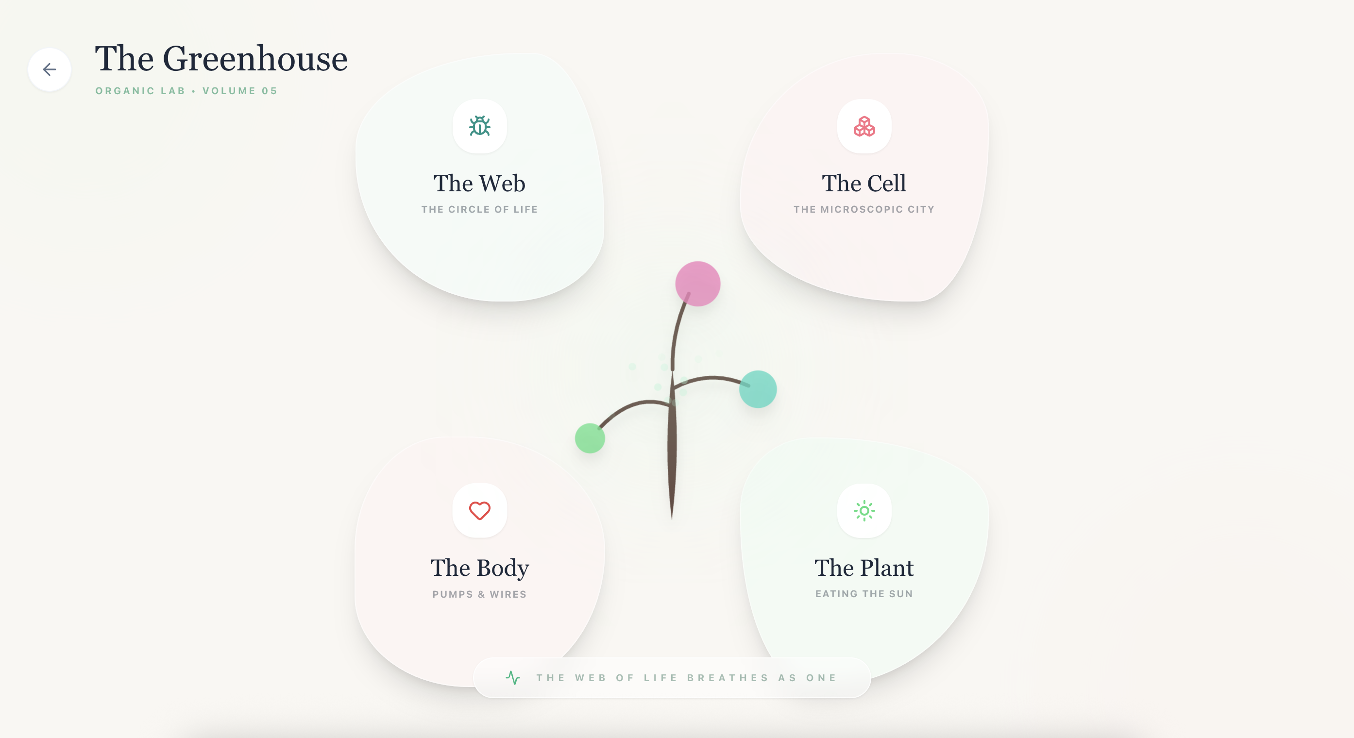 The Physics of Reality - Main product screenshot demonstrating key features and user interface