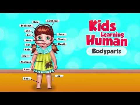 Kids Learning Human Bodyparts gallery image