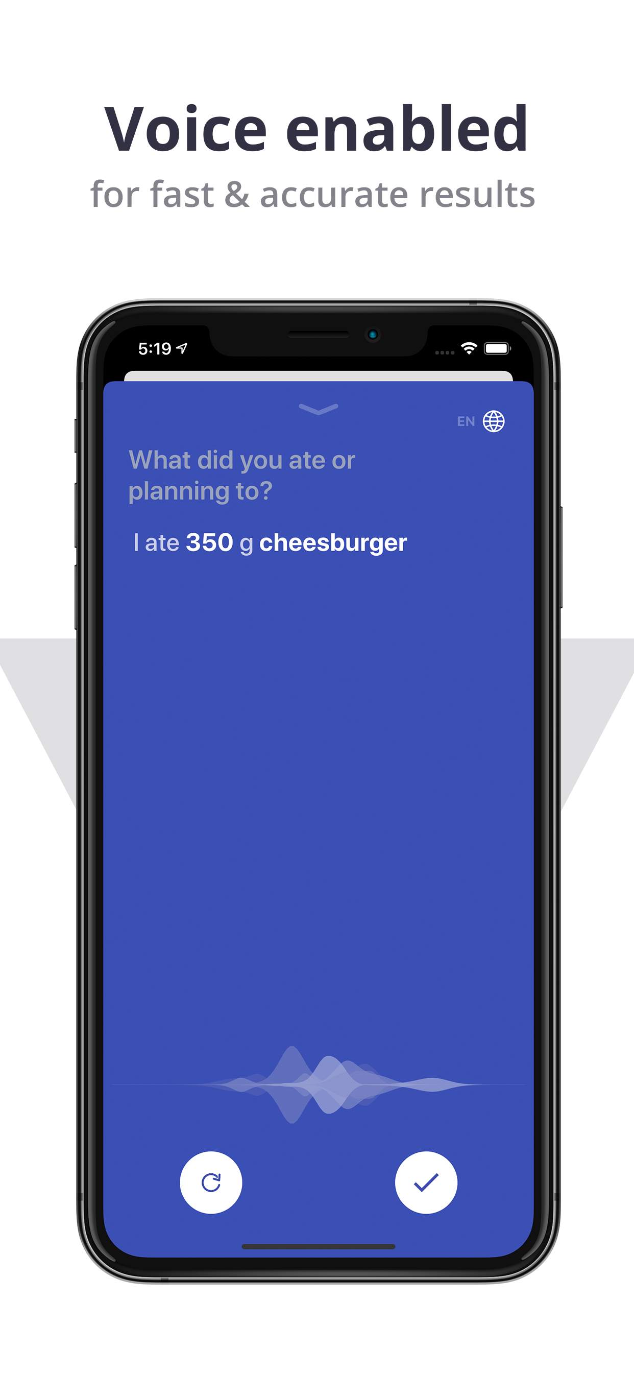 voicecal gallery image