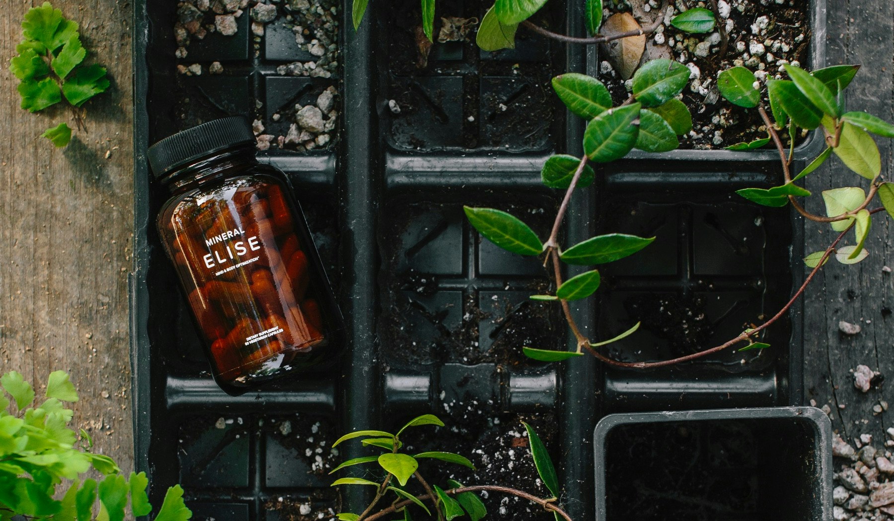 ELISE by Mineral gallery image