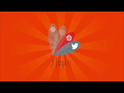 Fleur Query Language gallery image