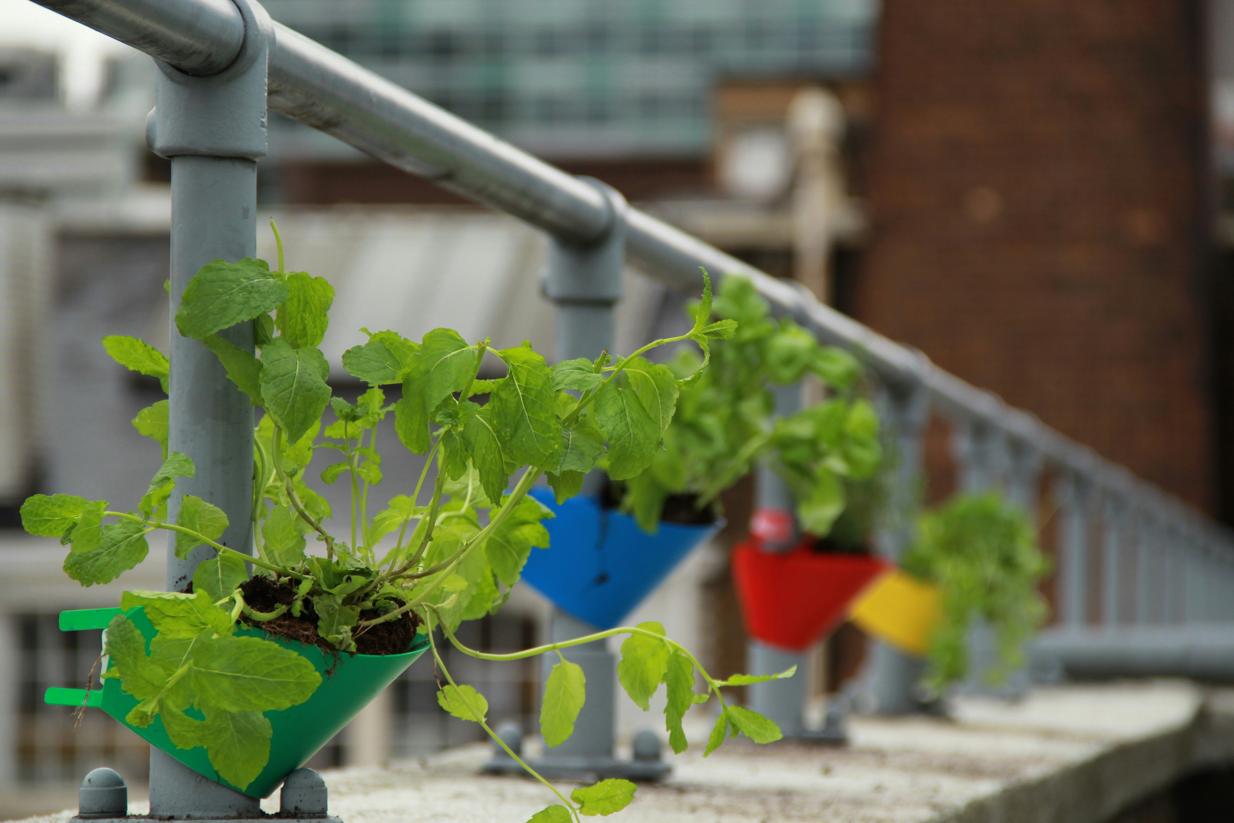 Small Folders gallery image