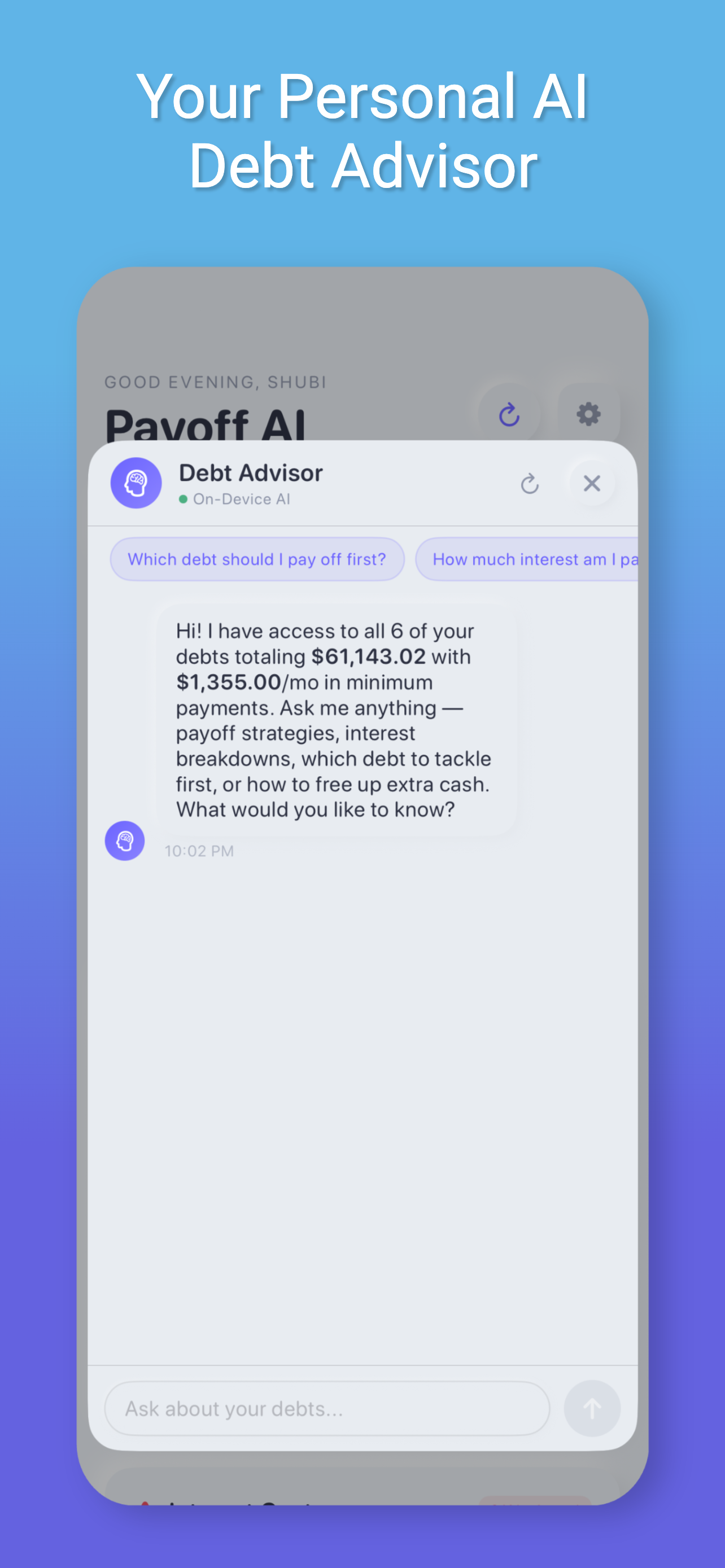 Payoff AI Pro – Private AI Debt Planner - Screenshot 4 showing product features and functionality