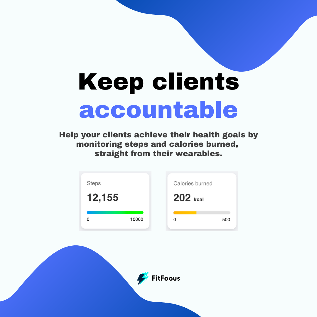 Fitfocus media 4
