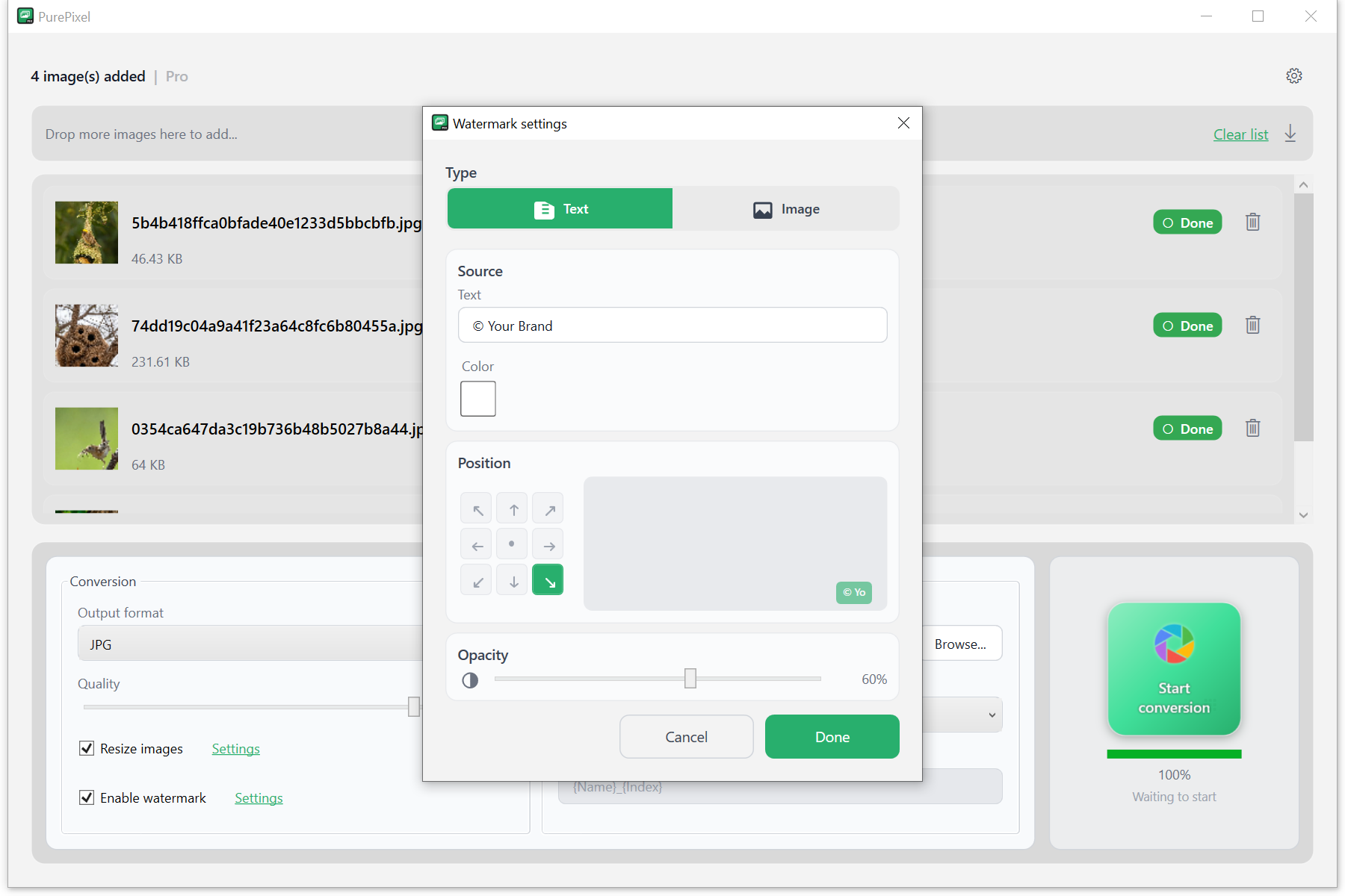 PurePixel gallery image
