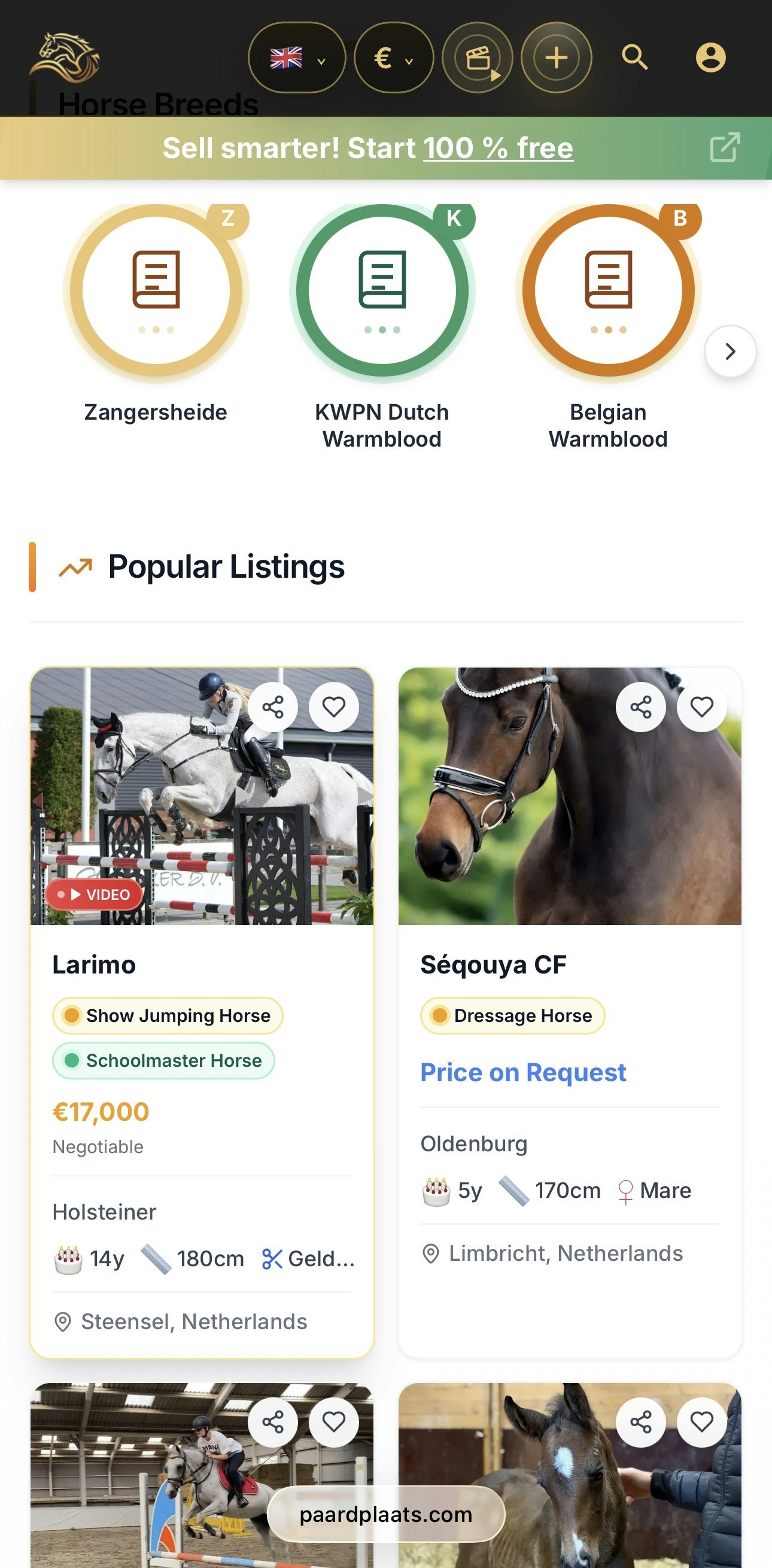 Modern Marketplace for Horses and Ponies gallery image