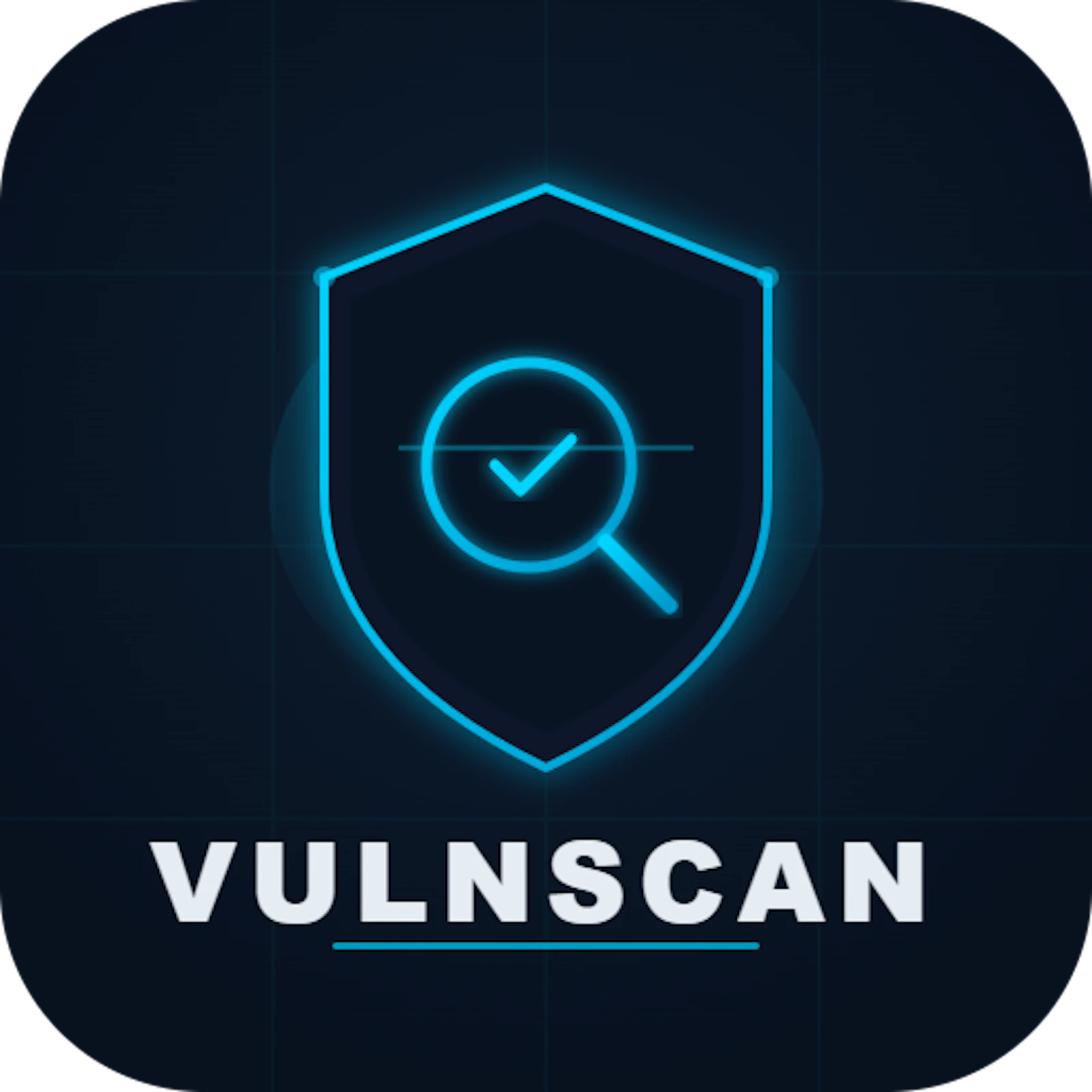 VulnScan screenshot 1