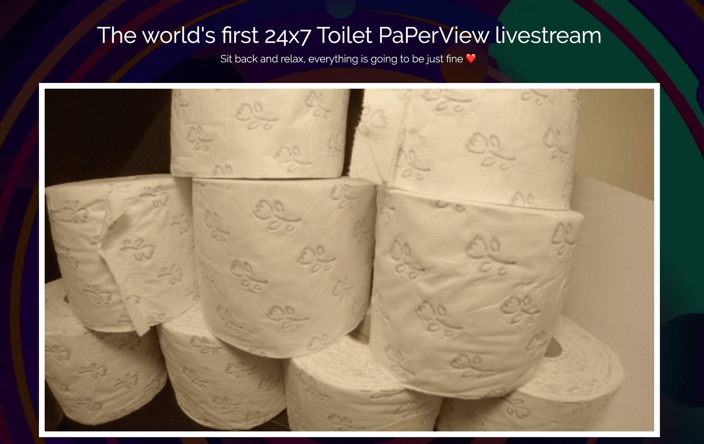 World's first toilet paper livestream gallery image