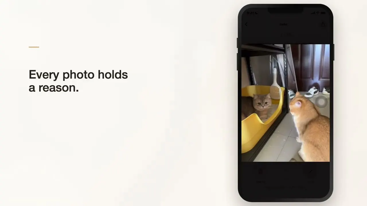 CatPaw Quick Clean gallery image
