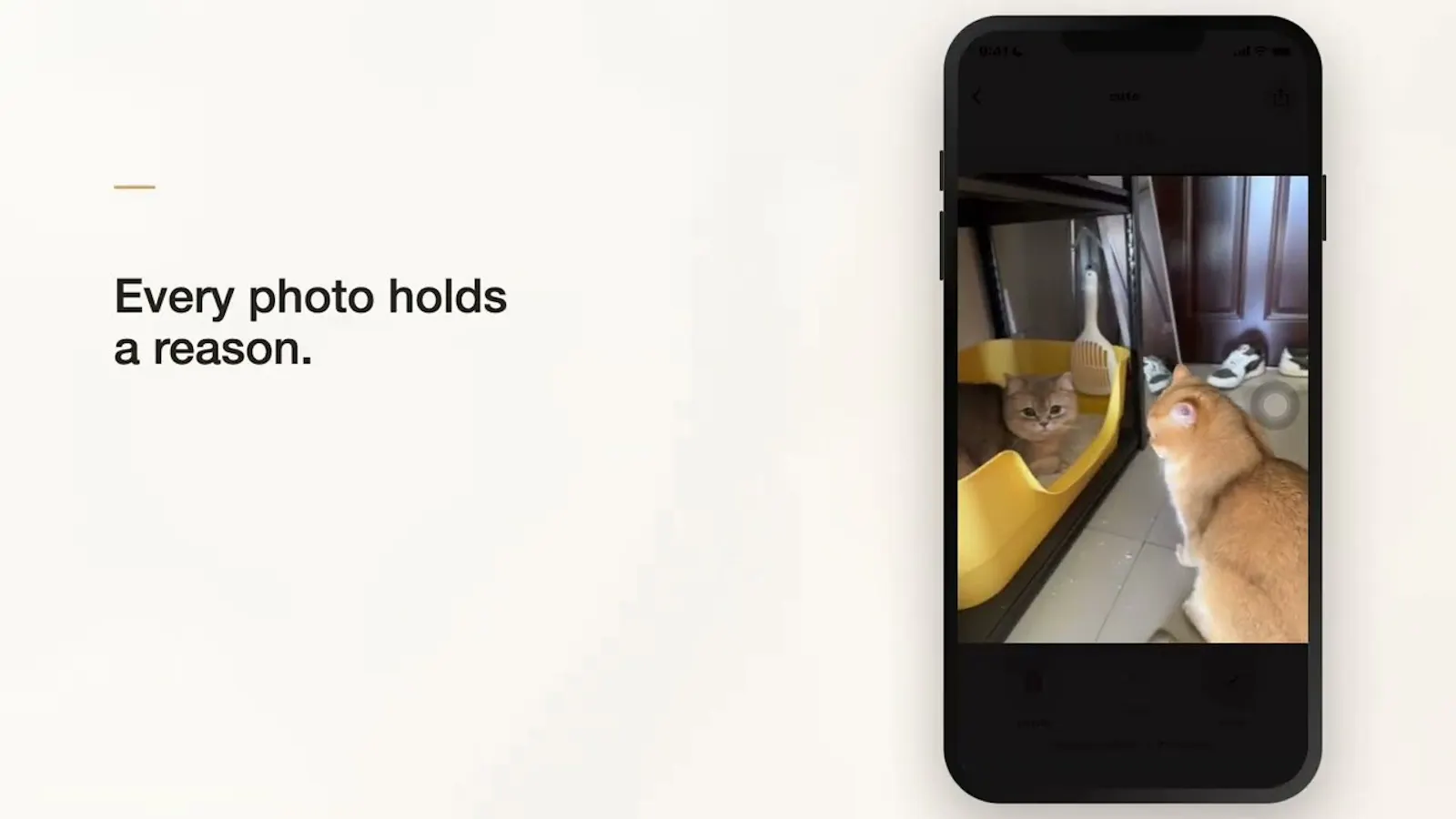 CatPaw Quick Clean screenshot 1 (video preview)
