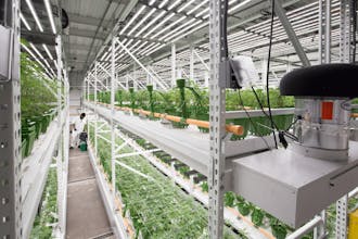 Mobile Vertical Grow Rack gallery image