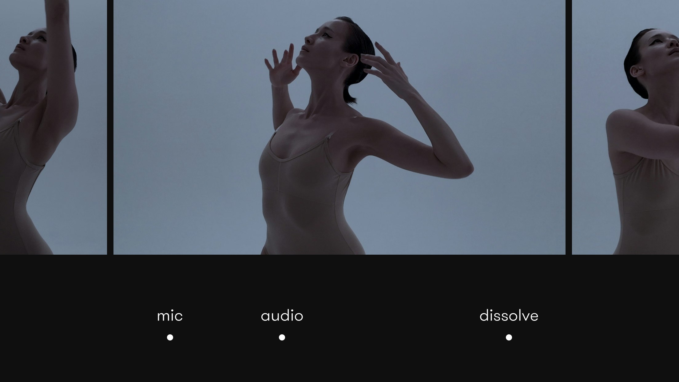 Nizo Image