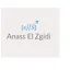 Anass Zgidi