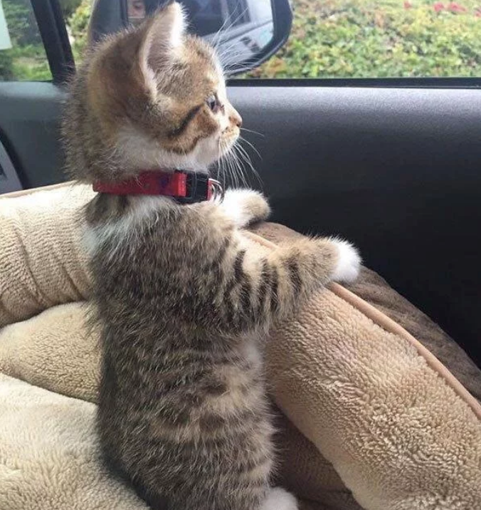 RescueTime gallery image