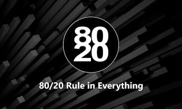 8020 in Everything gallery image