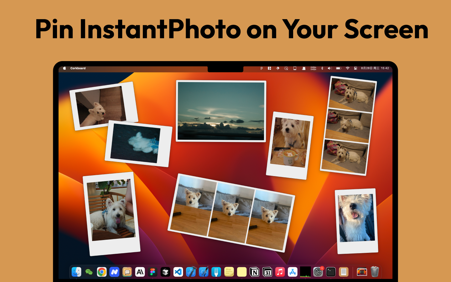 इंस्टेंटफोटो - MacOS डेस्कटॉप पर तत्काल फोटो पिन करें मीडिया 1