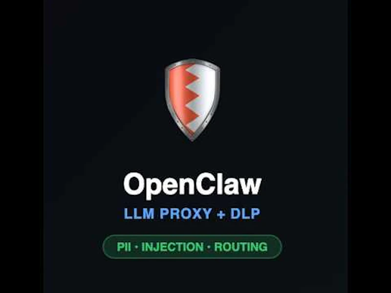 OpenClaw LLM Proxy screenshot 1 (video preview)