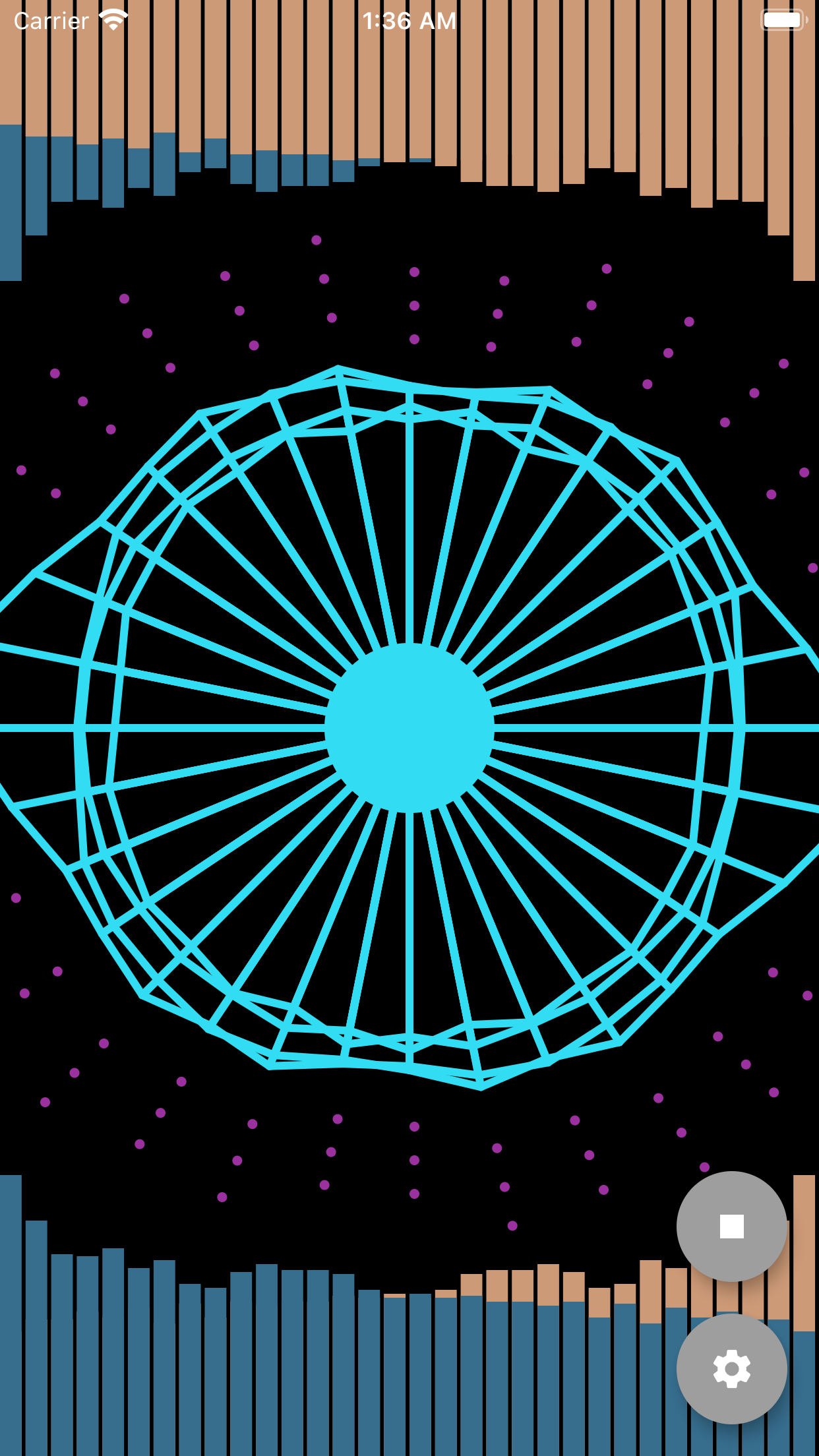 Music Visualizer gallery image