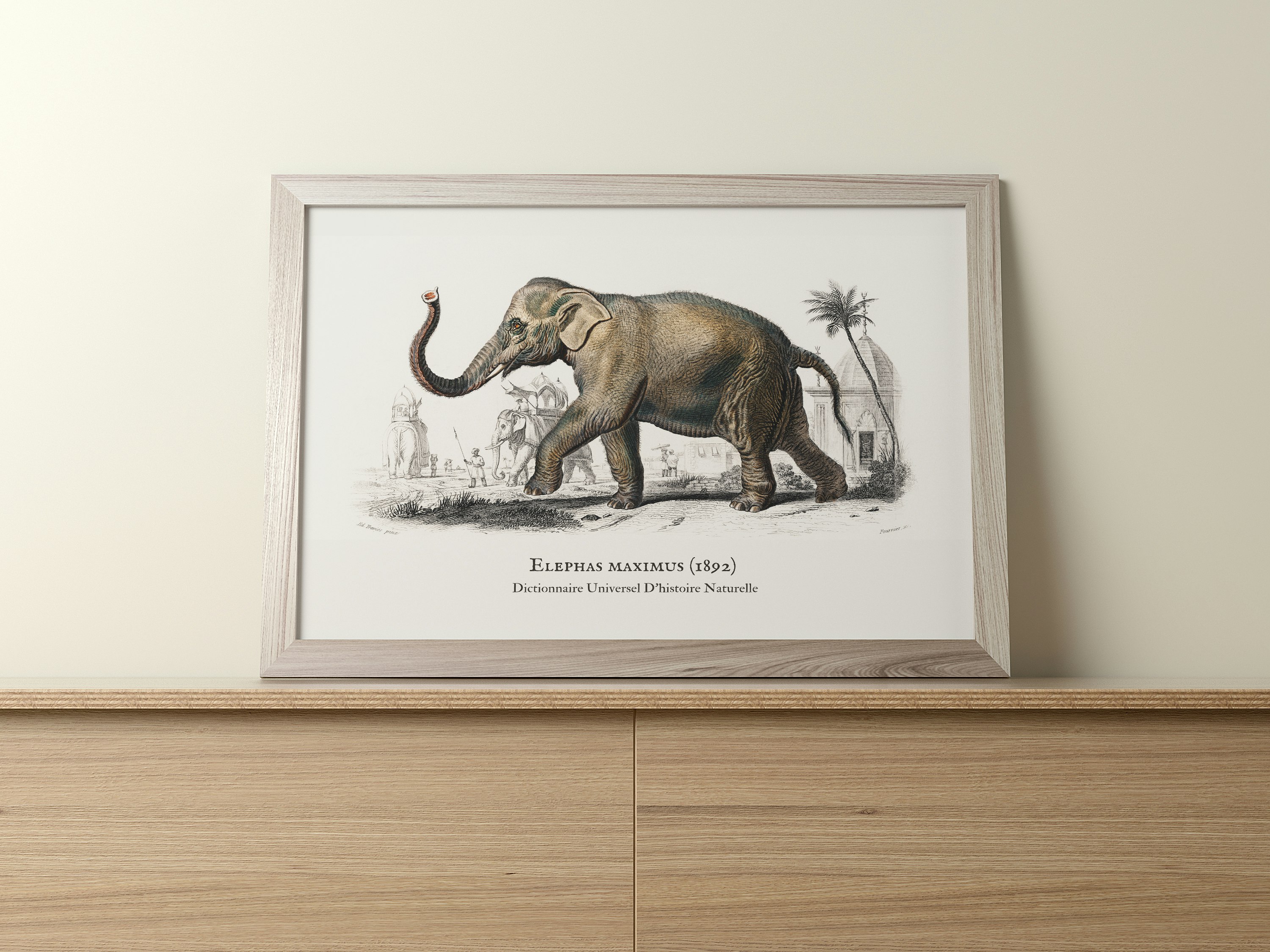 Illustrated Prints Co gallery image