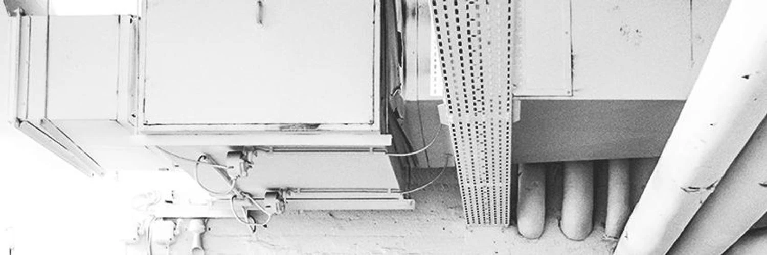 Steffi Feldmann cover