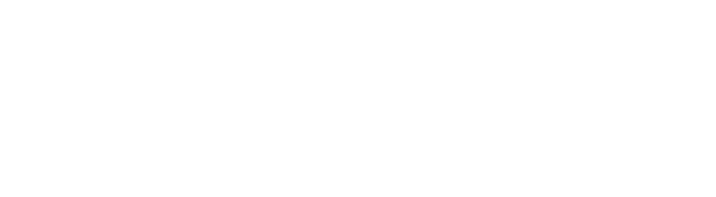 Verfi logo