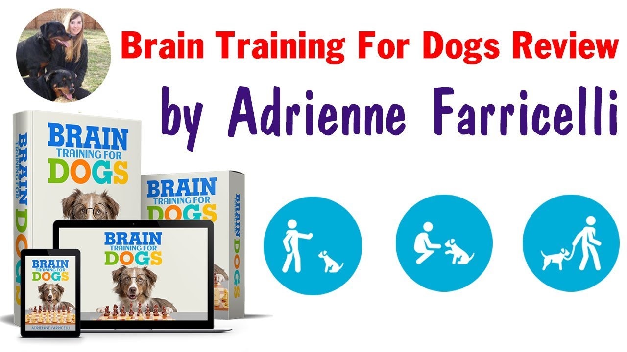 Brain Training For Dogs Reviews gallery image