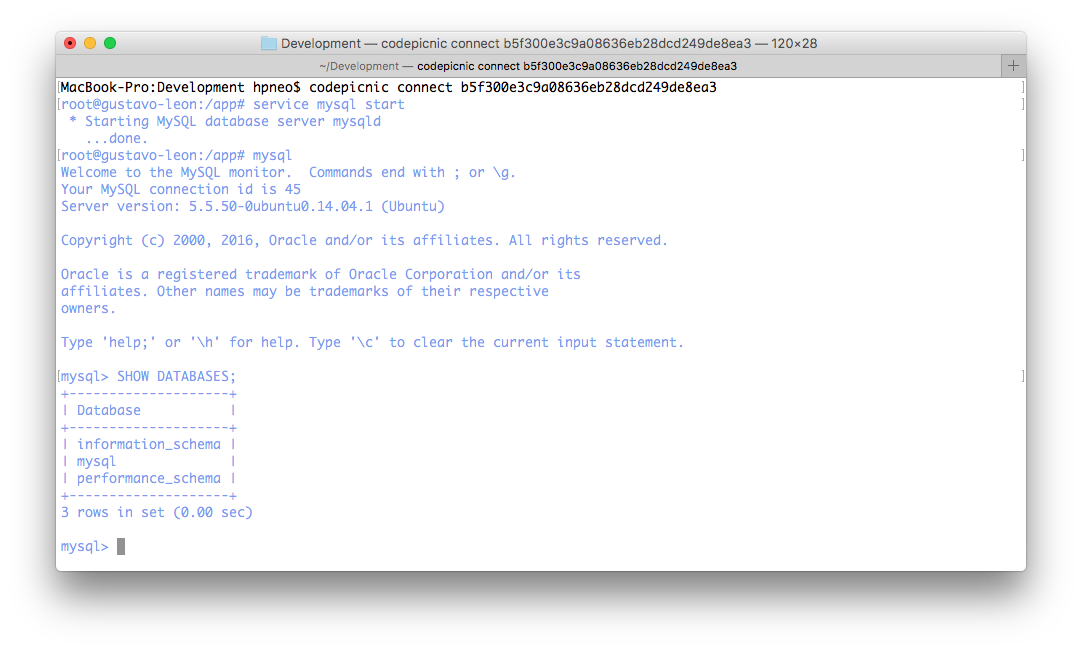 CodePicnic gallery image