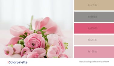 iColorpalette gallery image