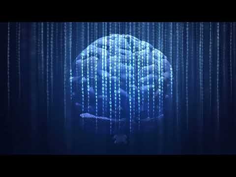 Runopt Alpha – Our first look gallery image