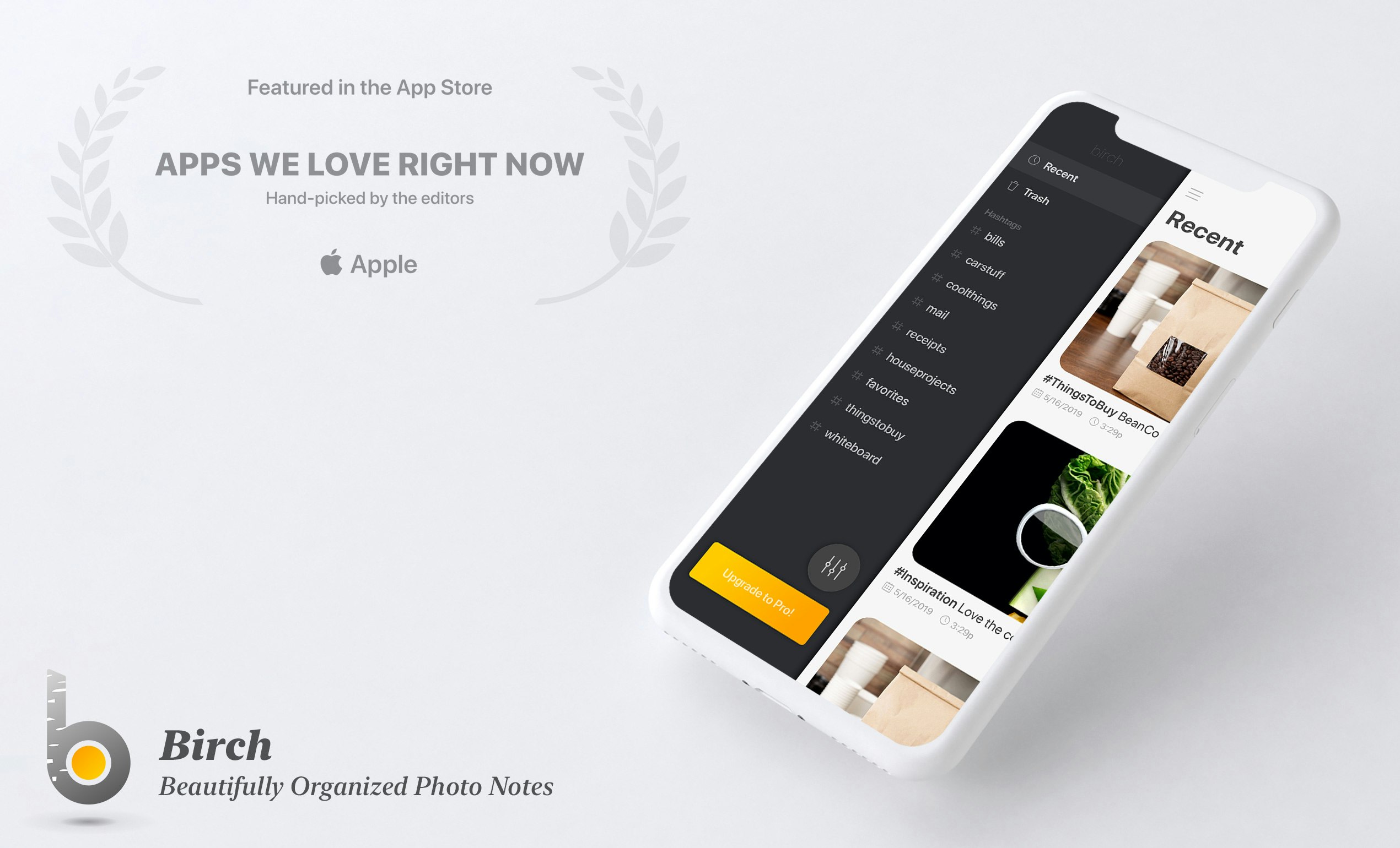 Birch 2.0 gallery image