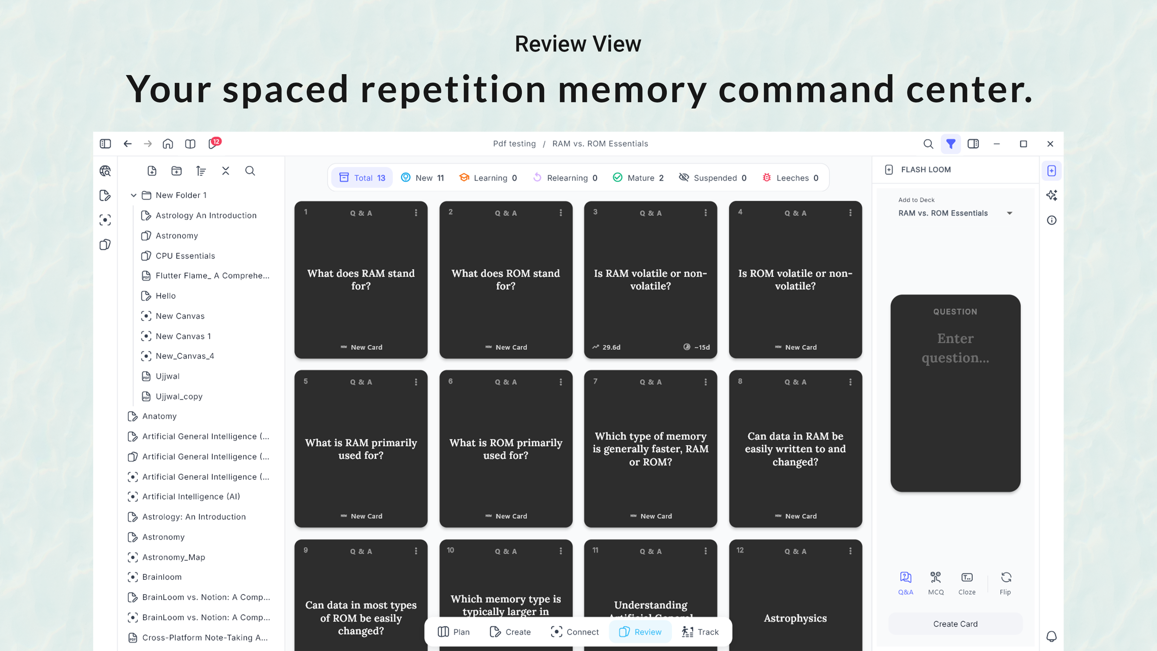 BrainLoom gallery image