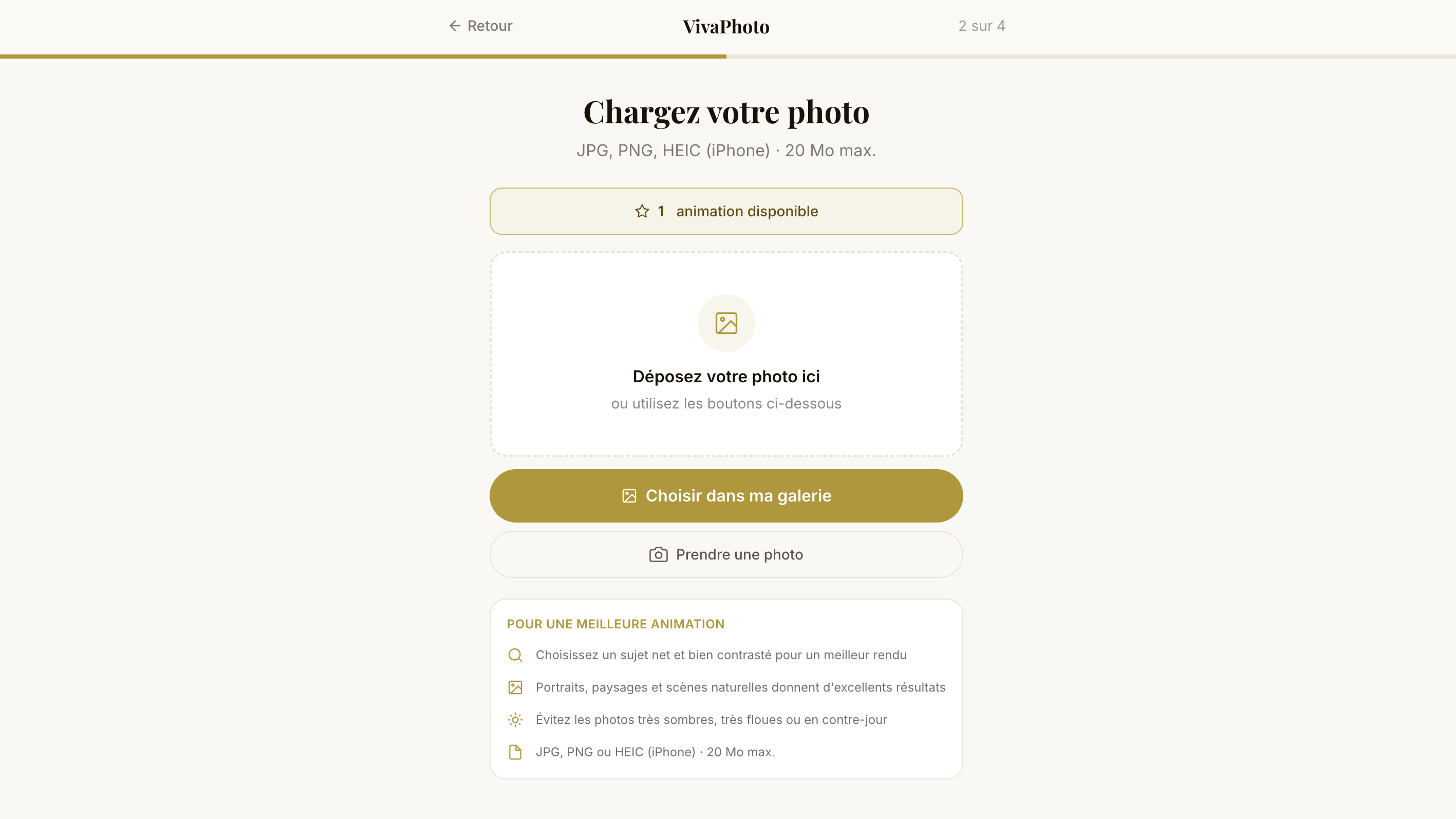 VivaPhoto gallery image