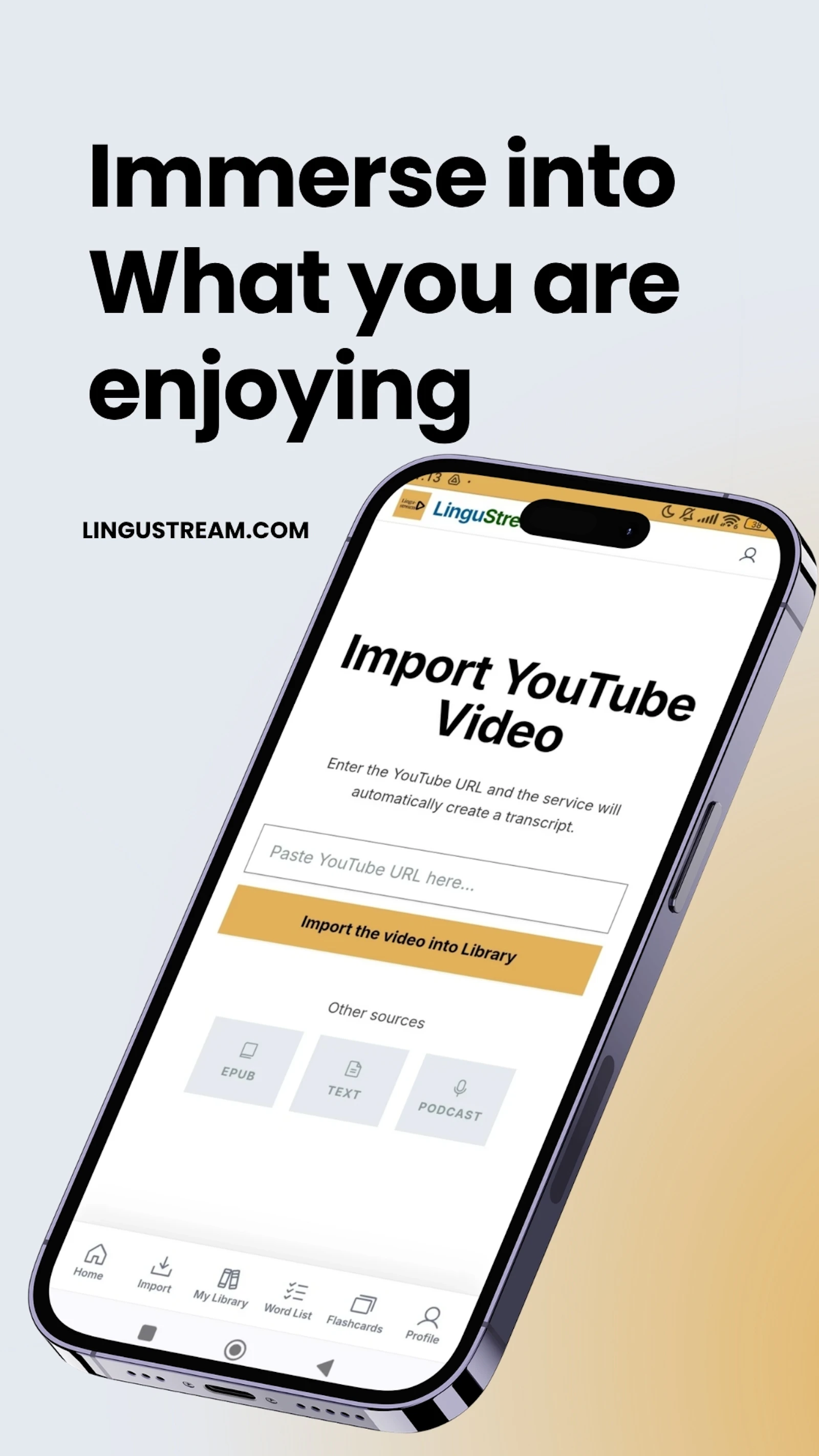 LinguStream screenshot 6
