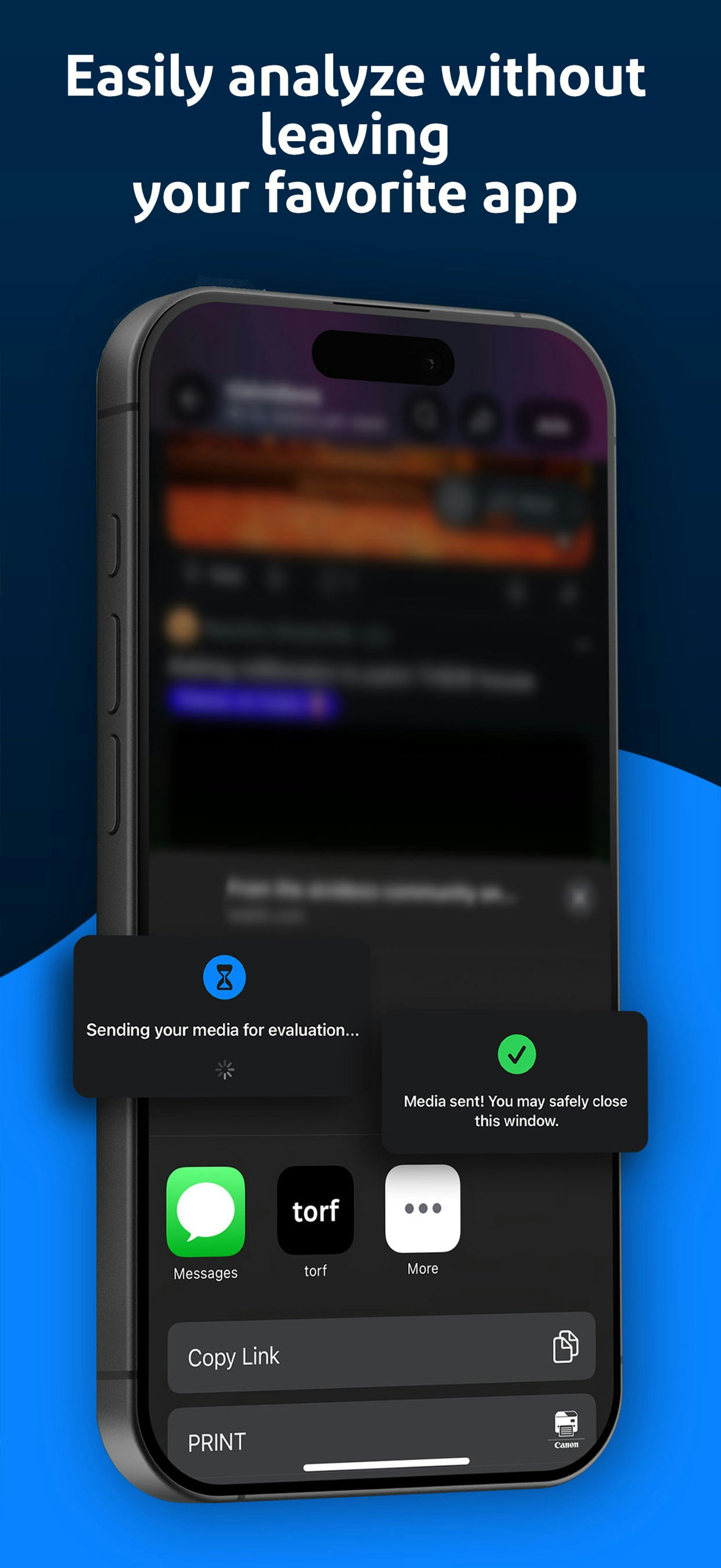 torf: AI Detector gallery image