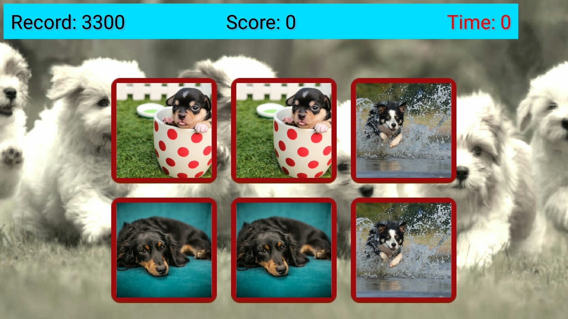 Your Pictures Memory Game gallery image