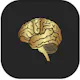 BRAINSTORMING