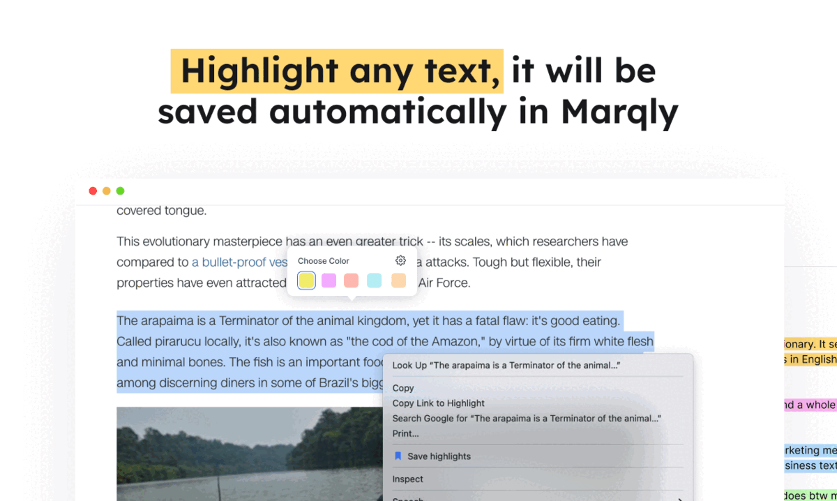 Marqly 1.0 मीडिया 2
