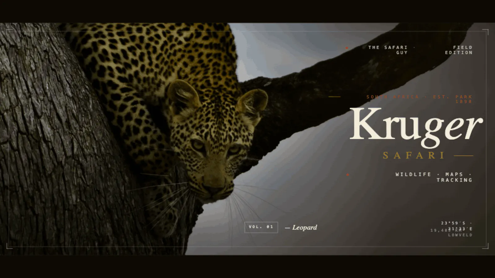 The Safari Guy gallery image