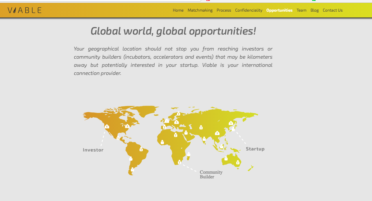 Viable Report gallery image